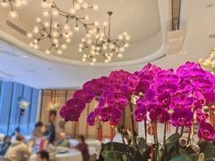 -花城苑广府菜(侨鑫店)