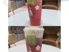 -奈雪的茶(石家庄万象城店)