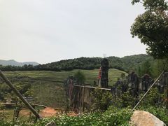 -太湖龙之梦