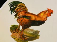 -AZUL by FUEL蓝色·法式酒馆(琶醍店)