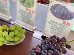 -马陆小张葡萄园农家乐