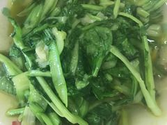 -青浦采草莓天天草莓园