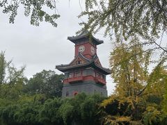 -四川大学(华西校区)