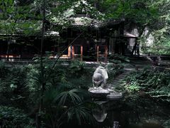 -凤栖山