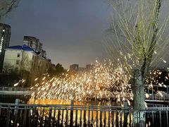 -海合安武汉极地海洋公园