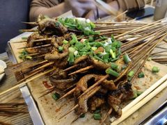 -晓靖轩烧烤(沙河风情店)