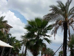 iphone_upload_pic-厦门北海湾惠龙万达嘉华酒店