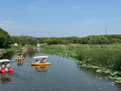 -同里国家湿地公园