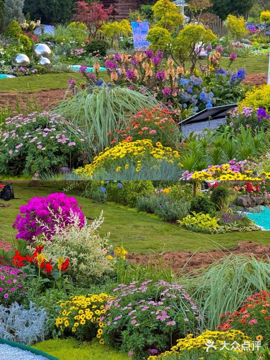 济南森林公园图片