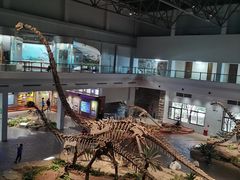 -自贡恐龙博物馆