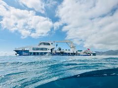 -亚龙湾海底世界