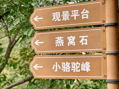 -大岭沟猕猴桃谷风景区