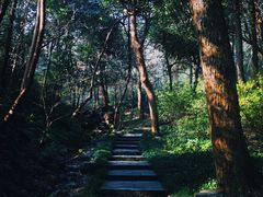 -杭州植物园