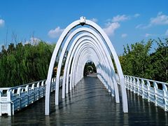 -大兴滨河森林公园