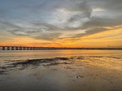 -宝安西湾红树林湿地公园