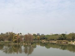 -海珠湖公园