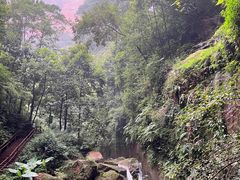 -赤水丹霞旅游区·佛光岩