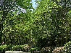 -长广溪湿地公园