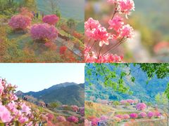 -篁岭景区