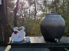 -天目湖涵田半山温泉