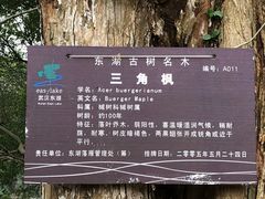 -东湖落雁景区