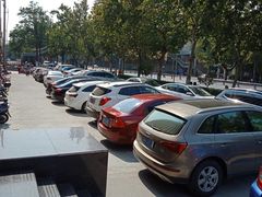 -金春禧(英雄山路旗舰店)