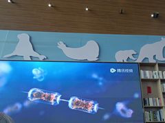-抱抱地球咖啡馆(国家海洋博物馆店)