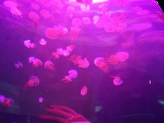 -鄂尔多斯野生动物园