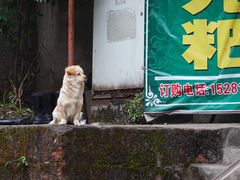 门面-夹江老头叶儿粑(石雁儿小区店)