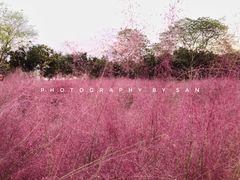 景点-艾溪湖湿地公园