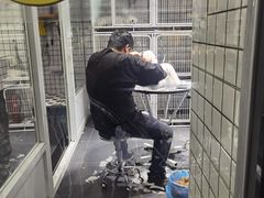 -熊小胖宠物生活馆(天华园店)