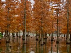 -白鹭湾湿地公园