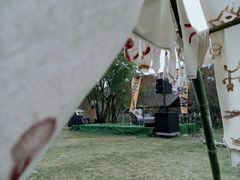 -南宁良凤江国家森林公园