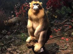 -陕西自然博物馆