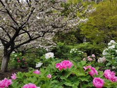 -江南大学(蠡湖校区)