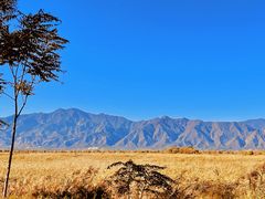 -野鸭湖国家湿地公园