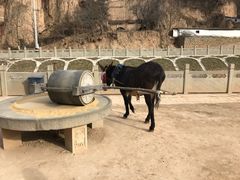 -梁家河村红色旅游区