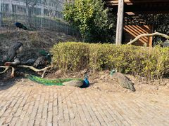 -宁波野生动物园