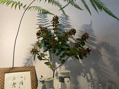-竹子咖啡bamboo coffee