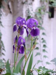 -HeyJewel全球独立设计师原创首饰集合店