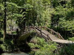-楠溪江石桅岩