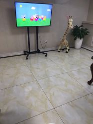 -花开映像儿童摄影