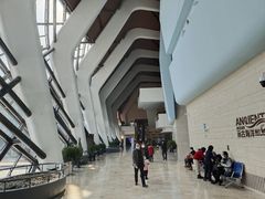 -贝林大翅鲸简餐厅(国家海洋博物馆店)