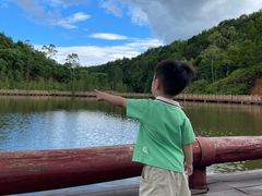 -神光山国家森林公园