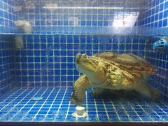 -徽三说·土徽菜·中国徽菜连锁品牌(一中店)