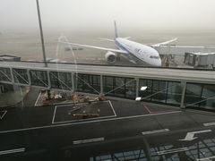 -全日本空输株式会社(上海办事处)