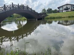 -南湖湿地公园