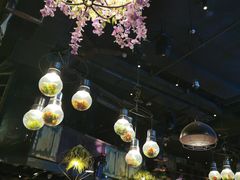 -胡桃里乐队酒馆(长春总店)