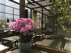 -洋洋中餐馆·SINCE 1997(信投店)