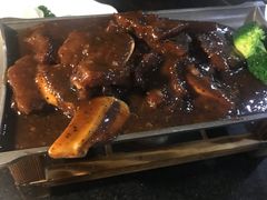 -云中小雅